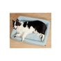 Лежак для тварин Petkit FOUR SEASON PET BED size S-L (NEW) (680472) - зменшене зображення 6