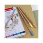Олівці кольорові Bruynzeel EXPRESSION PASTEL, 12 кольорів (8712079468415) - уменьшенное изображение 9