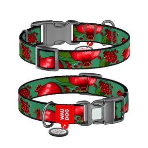 Нашийник для тварин WAUDOG Nylon з QR паспортом "Гранати" пластиковий фастекс XXL (284-4052) зображення 1