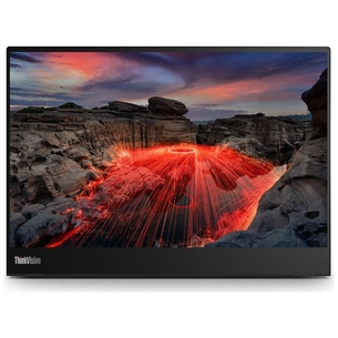 Монітор Lenovo M14t Gen2 (63FDUAT6WL) зображення 1