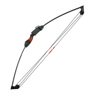 Лук Poe Lang Chameleon Youth Compound 10 LBS Black (CO-017B) зображення 1