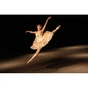 Об'єктив Sony 28-70mm f/2.0 GM for NEX FF (SEL2870GM.SYX) - зменшене зображення 3