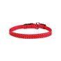 Нашийник для тварин Collar Dog Extremе 10 мм 20-30 см (червоний) (42843) - зменшене зображення 2