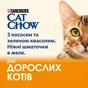 Вологий корм для кішок Purina Cat Chow Adult з лососем і зеленою квасолею 85 гх10 шт (7613036596039) - зменшене зображення 4