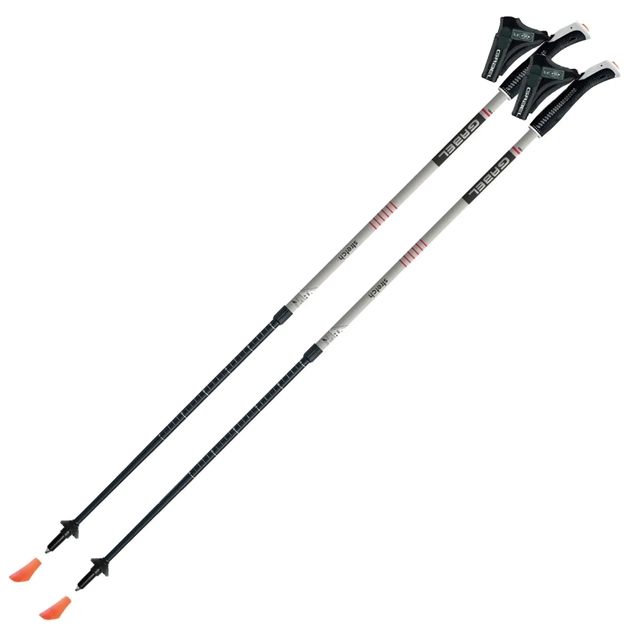 Палиці для скандинавської ходи Gabel Stretch Ice (7008352630000) - зображення 1