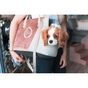 Переноска для тварин Chloe's Home Porto 43x27x17 см рожева (CLH1240) - зменшене зображення 2
