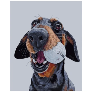 Картина по номерам Strateg Пес-бейсболіст 40х50 см (SY6127) зображення 1