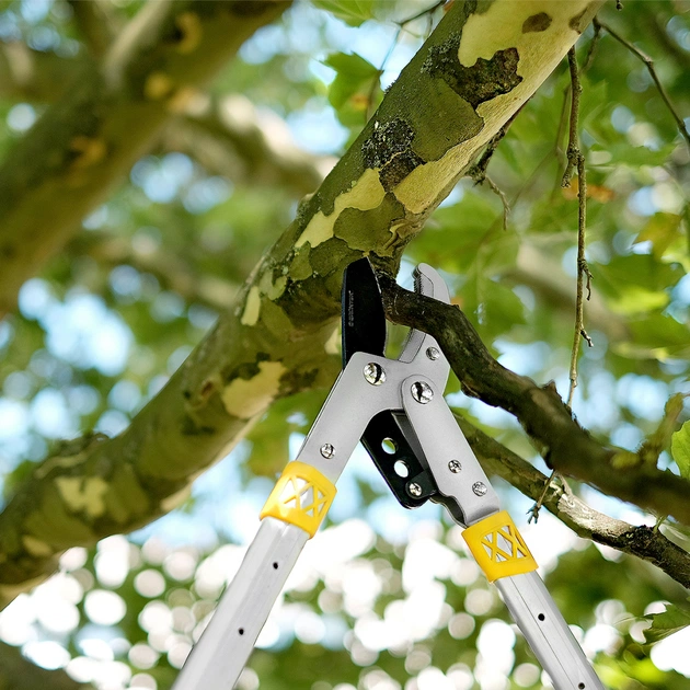 Секатор Gruntek телескопічний XT27-40 Premium (295201102) - picture 6