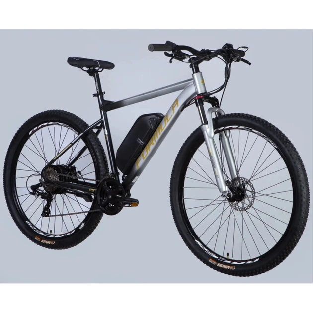 Електровелосипед Formula 29" eF-1 DD CS рама-21" 48B 12.5А*г 500Вт 2026 сріблясто-чорний (ELB-FR-29-254) - picture 2