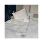 Ковдра MirSon Набір 9574 Luxury Exclusive Ковдра зимова Євро 200х220 Thinsulate + Дві подушки 50х70 (2200010806816) - зменшене зображення 2