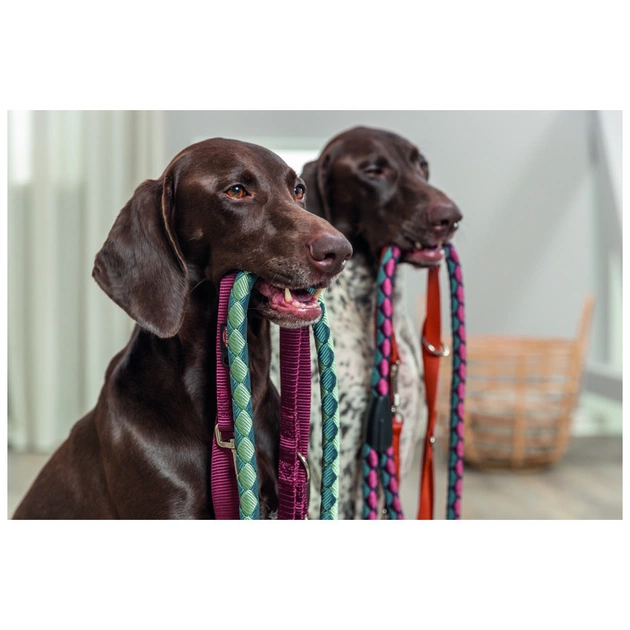 Повідець для собак Trixie Premium регульований двошаровий XS 2 м 10 мм бордовий (4053032673397) - зображення 3