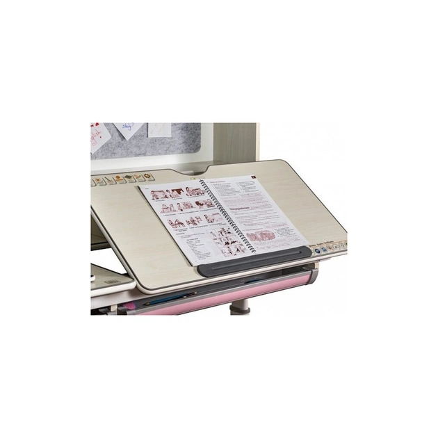 Парта Evo-kids Winnipeg Multicolor WG + PN (BD-630 WG + PN Multicolor) - picture 12