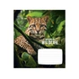 Тетрадь Школярик Wildlife 12 листов клетка (012-3679K) - уменьшенное изображение 2