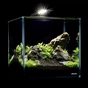 Акваріум Aqualighter набір NaGLASS Nano Set 220 мм 10 л (7142) - зменшене зображення 4