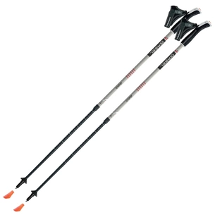 Палиці для скандинавської ходи Gabel Stretch Ice (7008352630000) зображення 1