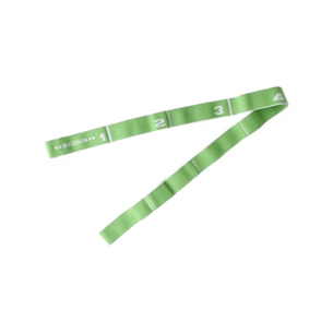 Еспандер LiveUp Resistance Band Medium з петлями зелений LS3660-M (6951376108675) зображення 1