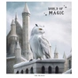 Зошит Школярик World of Magic 96 аркушів клітинка (096-3431K) - зменшене зображення 5