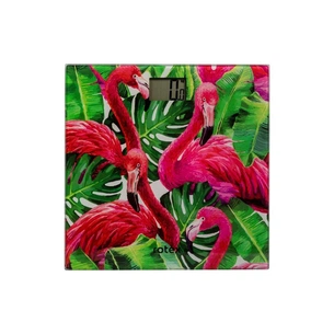 Ваги підлогові Rotex RSB06-P зображення 1