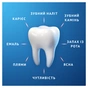 Зубная паста Oral-B Pro-Expert Успокаивающее чувство 75 мл (8006530090773) - уменьшенное изображение 6