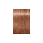 Фарба для волосся Schwarzkopf Professional Igora Royal Dusted Rouge 9-674 60 мл (4045787405200) - зменшене зображення 2