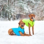Курточка для тварин Airy Vest двостороння XS 22 салатово-блакитна (1711) - зменшене зображення 8
