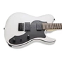 Електрогітара FGN Iliad Dark Evolution Series Open Pore White (JIL3-ASH-DE664-R/OPW) - зменшене зображення 6