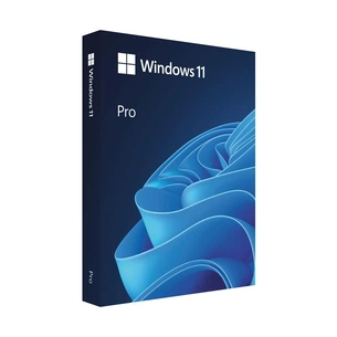 Операційна система Microsoft Windows 11 Pro англ, FPP на USB носії (HAV-00164) изображение 1
