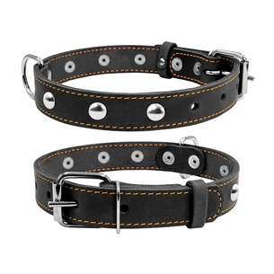 Нашийник для тварин Collar одинарний з прикрасами Ш 25 мм Д 38-50 см чорний (02231) зображення 1