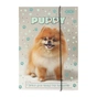 Папка для труда ZiBi для труда и тетрадей DOG, картонная, на резинке А4 (225 x 316 мм) (ZB.14940-22) - уменьшенное изображение 1