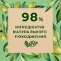 Гель для душу Le Petit Marseillais Біо Листя оливи 250 мл (3574661568478/3574661618937) - зменшене зображення 3