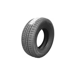 Шина Compasal CITIWALKER 235/65R18 110H XL (14011170948) зображення 1