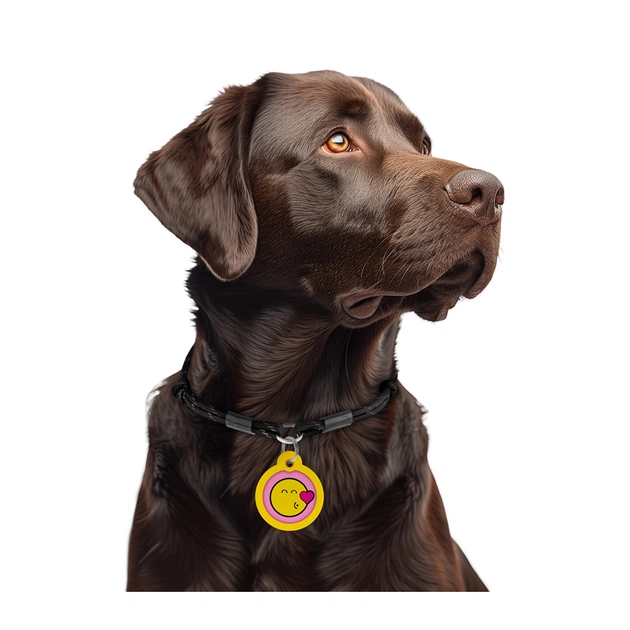 Адресник для тварин WAUDOG Smart ID з QR паспортом "Смайли на рожевому", коло 30 мм (230-0187) - picture 6