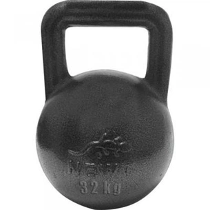 Гиря Newt чавунна 32 кг (NE-100-3200) зображення 1