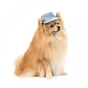 Кепка для тварин Pet Fashion Blue XS з квітковим принтом (4823082434220) - зменшене зображення 2
