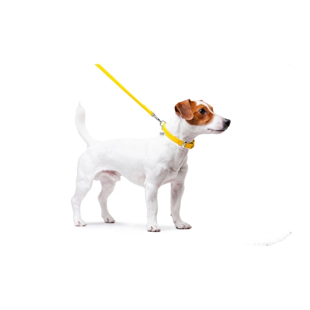 Повідець для собак WAUDOG Glamour шкіряний XS жовтий (33728) - зображення 4