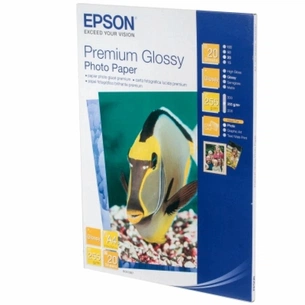 Фотопапір Epson A4 Premium Glossy Photo (C13S041287) зображення 1