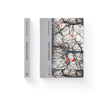 Книга Кінечні пісні - Ірина Шувалова Видавництво Старого Лева (9789664482964) зображення 1