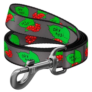 Повідець для собак WAUDOG Nylon "Калина" S (4915-0228) зображення 1