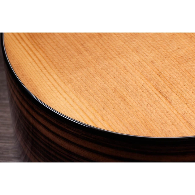 Гітара електроакустична Taylor Guitars 214ce PLUS (230198) - picture 12