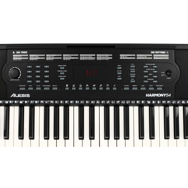 Синтезатор Alesis Harmony 54 - picture 4