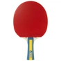 Ракетка для настільного тенісу Joola Team Master (52001) (930771) - зменшене зображення 1