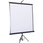 Проекційний екран Atria TRM-NTSC-100D - зменшене зображення 1