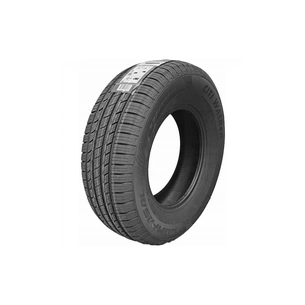 Шина Compasal CITIWALKER 275/55R20 117V XL (14011170955) зображення 1