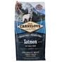 Сухий корм для собак Carnilove Adult Salmon 12 кг (8595602508907) - зменшене зображення 1
