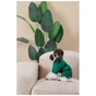 Комбинезон для животных Pet Fashion EGO S2 зеленый (4823082437702) - уменьшенное изображение 9