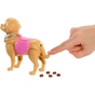 Лялька Barbie Прогулянка з песиком (JJB46) - зменшене зображення 6