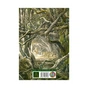 Книга Гобіт, або Туди і звідти (ілюстроване видання) - Джон Р. Р. Толкін Астролябія (9786176641896/9786176642909) - зменшене зображення 2