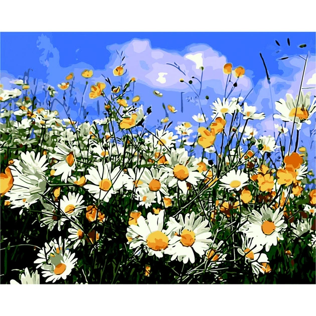 Картина по номерам ZiBi Ромашкове поле 40*50 см ART Line (ZB.64149) - изображение 1