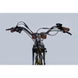 Електровелосипед Dorozhnik 28" eCORAL DD FR рама-19" 48B 17.5А*г 500Вт 2026 бронзовий (ELB-D-28-119) - preview 6