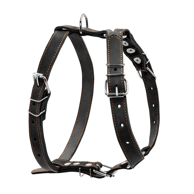Шлей для собак Collar одинарная для средних пород Ш 25 мм А:49-68 см В:68-80 см черная (06381) - изображение 1
